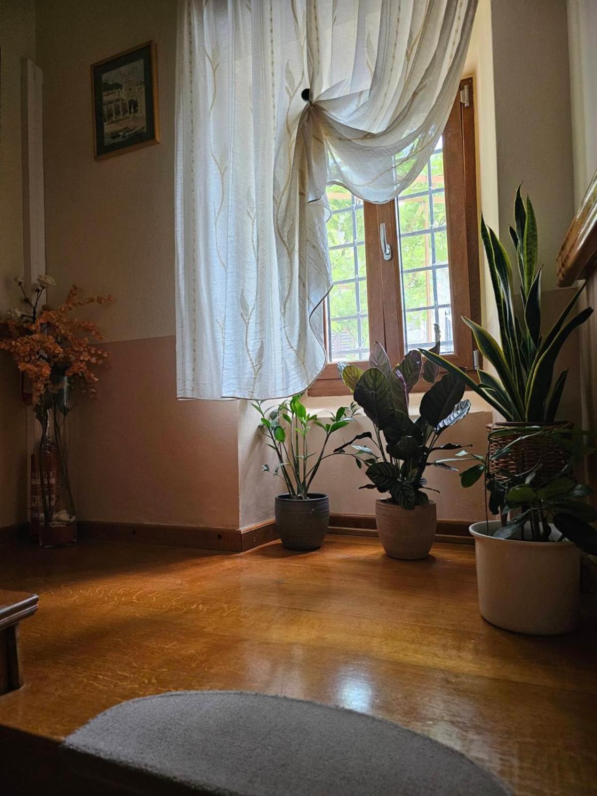 Guesthouse Villa Marija Motovun Exteriör bild
